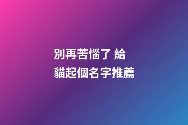 別再苦惱了 給貓起個名字推薦